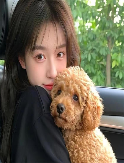 《惊魂圣诞节》适合什么人观看？目标观众群体历史分析